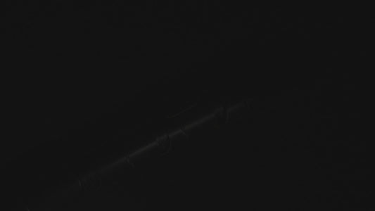 The Stranger’s Guise